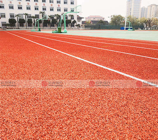 陝（shǎn）西寶雞體（tǐ）育學校