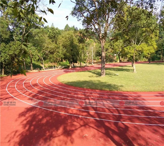 廣州塑（sù）膠跑道